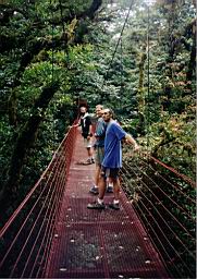 94 bosque Monteverde.jpg